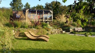 ไอเดียบ้านชั้นเดียว ทามกลางสวนดอกไม้