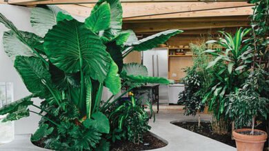 แนวคิดการตกแต่งสวนขนาดเล็กภายในบ้าน