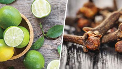 มะนาว เคล็ดลับกำจัดยุงจากธรรมชาติ ไร้สารเคมี