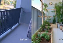 แปลงผักสวนครัวง่ายๆ ของคนกรุง บนระเบียงคอนโด