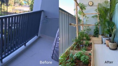 แปลงผักสวนครัวง่ายๆ ของคนกรุง บนระเบียงคอนโด