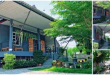 แบบบ้านหลังคาทรงจั่ว 2 ห้องนอน 2 ห้องน้ำ ตกแต่งสวนต้นไม้รอบบ้าน