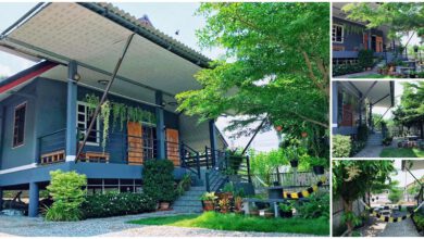 แบบบ้านหลังคาทรงจั่ว 2 ห้องนอน 2 ห้องน้ำ ตกแต่งสวนต้นไม้รอบบ้าน