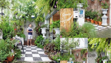 ไอเดียจัดสวน หน้าบ้านทาวเฮาส์ ทำเอง มีสไตล์ไม่ซ่ำใคร