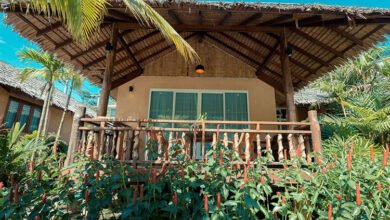 บ้านทรงเล็กกะทัดรัด แบบบ้านชั้นเดียว ครึ่งไม้ ครึ่งปูน