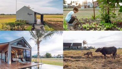 แบบบ้านชั้นเดียว กลางทุ่งนา มาพร้อมสระน้ำ