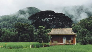 กระท่อมกลางนา