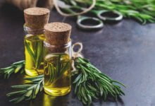 พืชสมุนไพรไล่ยุง