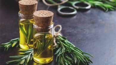 พืชสมุนไพรไล่ยุง