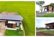 บ้านกลางทุ่งนา-7