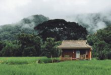 มีบ้านก็ต้องมีสวน หามาให้แล้วกับ 7 แบบบ้านสวนสวยๆ