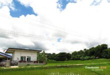 บ้านชั้นเดียวสีขาวหลังเล็ก