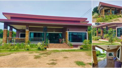 บ้านชั้นเดียว สไตล์โมเดิร์น