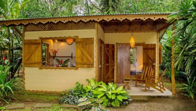 บ้านสวนสไตล์เรียบง่าย