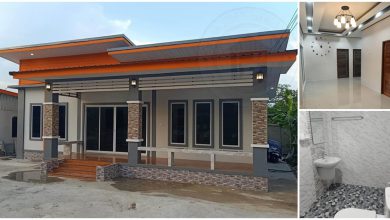 บ้านโมเดิร์นชั้นเดียวขนาดเล็ก